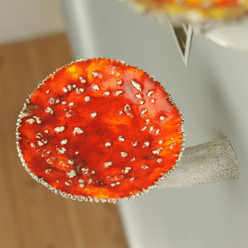 ShroomRack Pilzförmiges Hängeregal