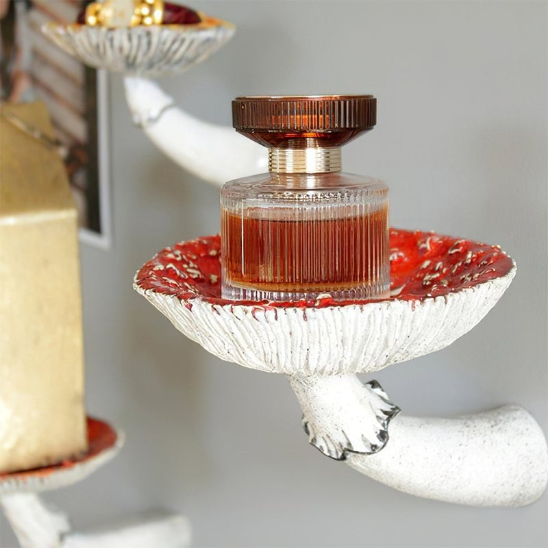 ShroomRack Pilzförmiges Hängeregal