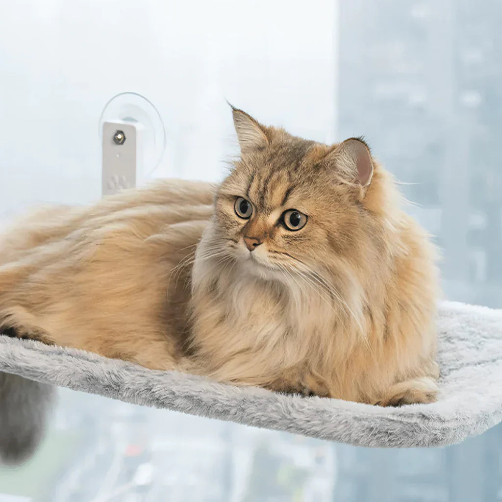 Faltbare Fensterhängematte für Katzen mit abnehmbarem Bezug und starker Unterstützung
