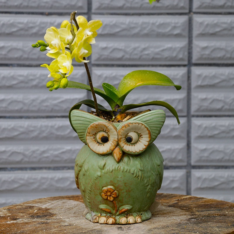 WhimsiOwl Keramik-Sukkulenttopf – Moderner dekorativer Topf mit Eulendesign