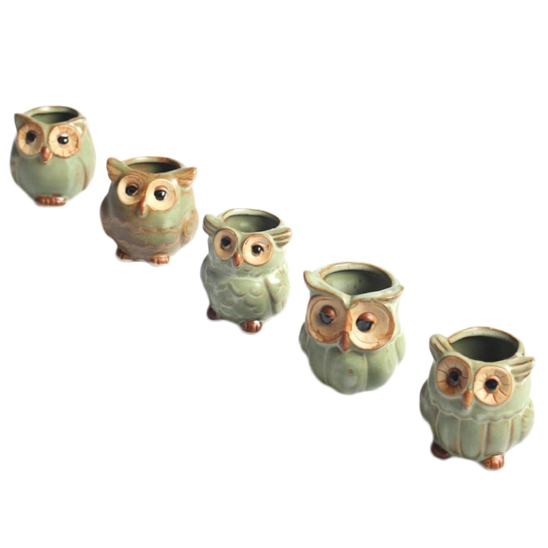 WhimsiOwl Keramik-Sukkulenttopf – Moderner dekorativer Topf mit Eulendesign