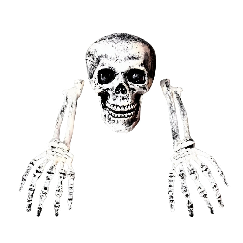 BoneChill Halloween Skelett & Schädel Deko – Echte Grusel‑Stimmung für Party & Spukhaus