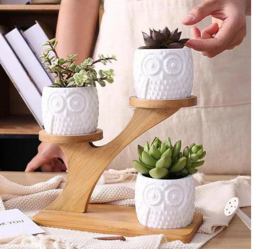 UgleTrio Pflanzenhalter aus Holz mit dekorativen Ugle-Töpfen für den Innenbereich