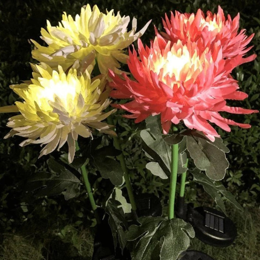 BloomGlow solarbetriebene Gartenlampen – Farbwechselnde LED-Außenbeleuchtung
