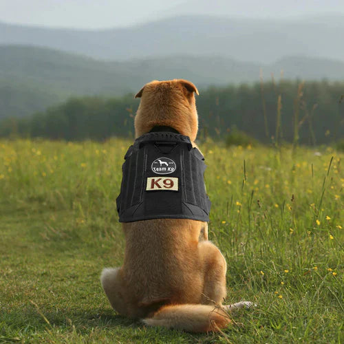 PawsSecur Taktische Hunde-Weste – Anti-Zug Geschirr mit verstellbaren Hilfspaneelen