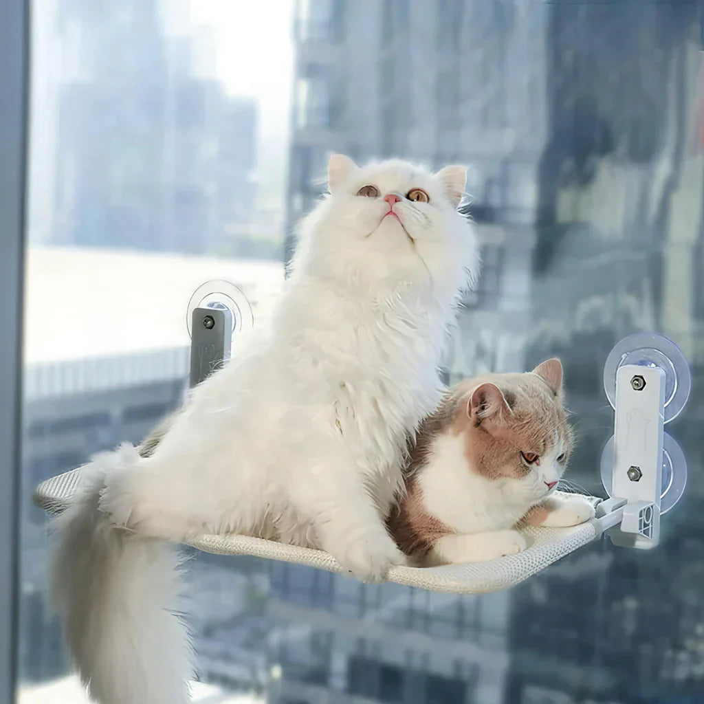 Faltbare Fensterhängematte für Katzen mit abnehmbarem Bezug und starker Unterstützung