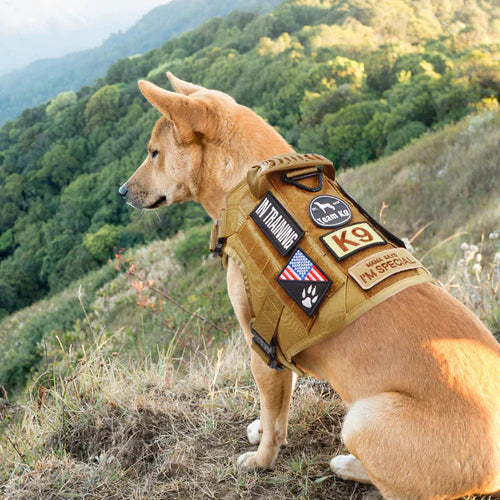 PawsSecur Taktische Hunde-Weste – Anti-Zug Geschirr mit verstellbaren Hilfspaneelen
