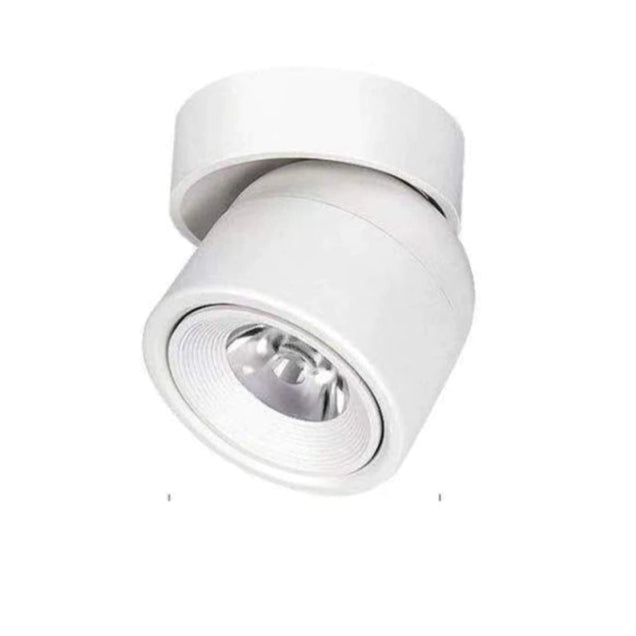 LumiBeam - Zylindrischer Dimmbarer LED-Strahler