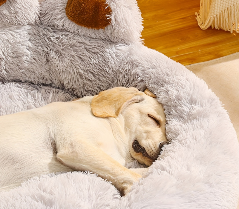 CozyPaw Waschbarer Haustierbett mit Pfotenform-Design