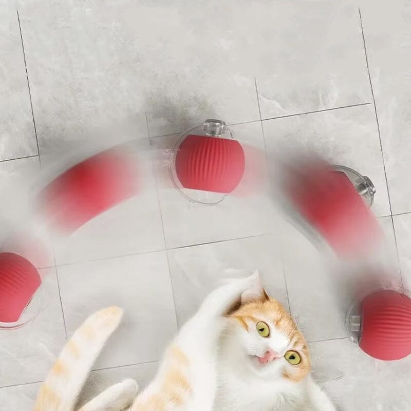 LED-interaktiver Katzenspielball für drinnen