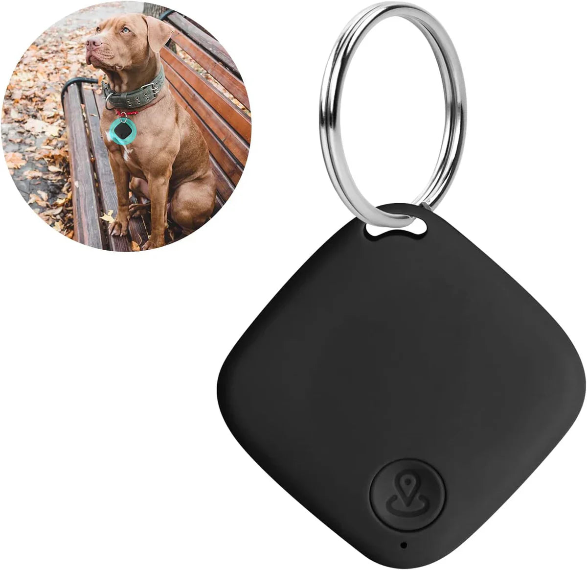 PetTrack – Kompakter GPS-Tracker für Haustiere, Kinder & Wertsachen