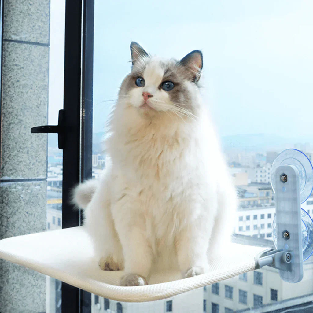 Faltbare Fensterhängematte für Katzen mit abnehmbarem Bezug und starker Unterstützung