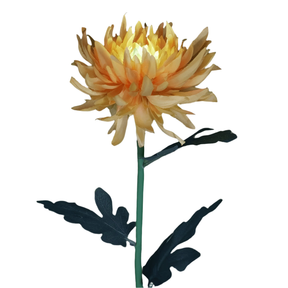 BloomGlow solarbetriebene Gartenlampen – Farbwechselnde LED-Außenbeleuchtung