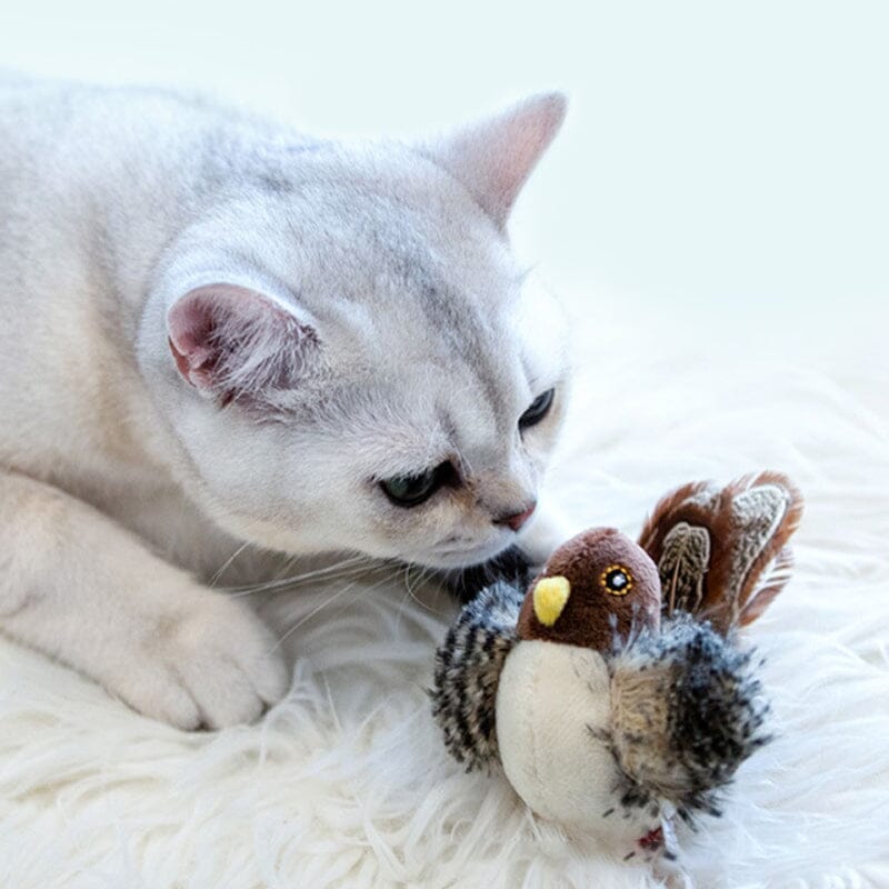 Katzenspielzeug - Simulierte zwitschernde Vogel