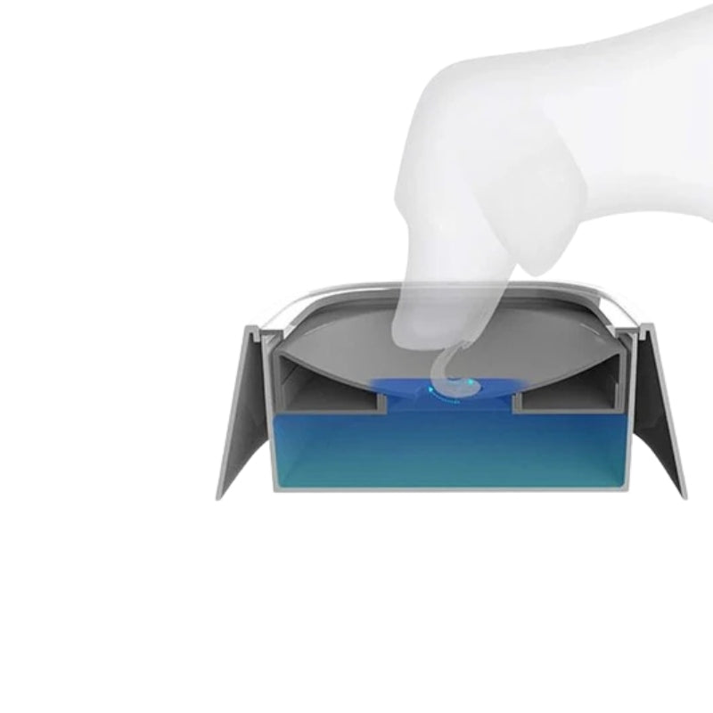 PawSip – Auslaufsichere flüssige Wasserschale für Hunde und Katzen