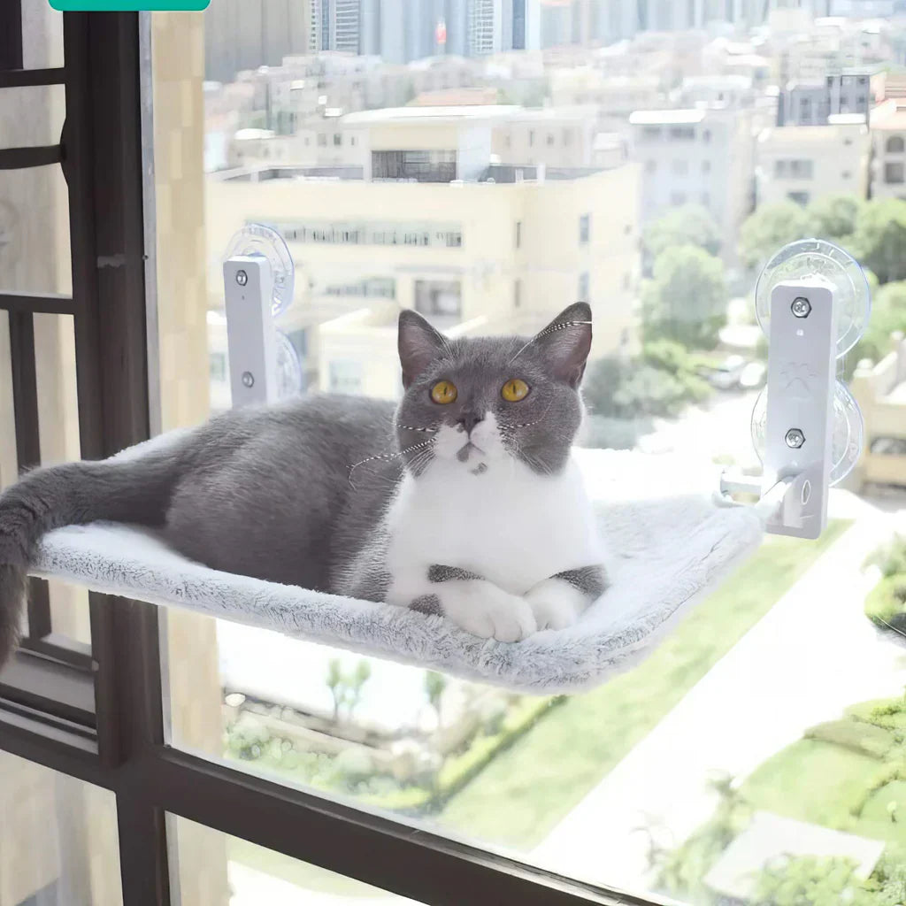 Faltbare Fensterhängematte für Katzen mit abnehmbarem Bezug und starker Unterstützung