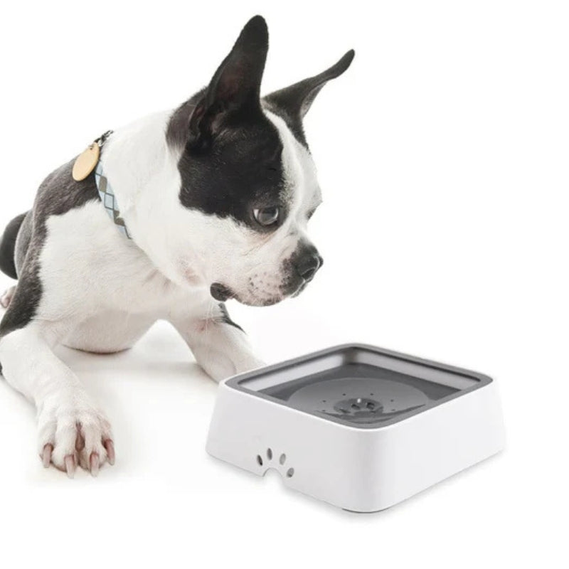 PawSip – Auslaufsichere flüssige Wasserschale für Hunde und Katzen