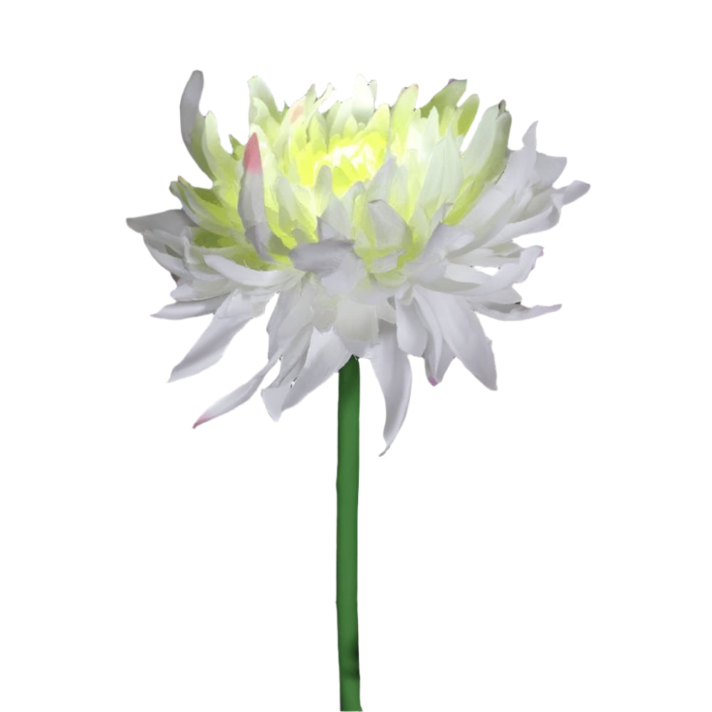 BloomGlow solarbetriebene Gartenlampen – Farbwechselnde LED-Außenbeleuchtung