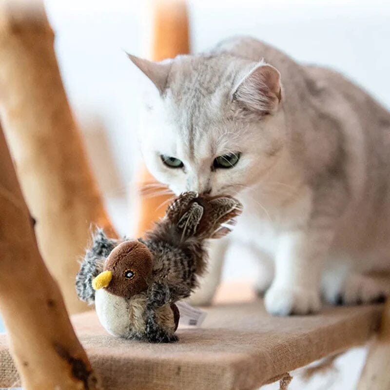 Katzenspielzeug - Simulierte zwitschernde Vogel