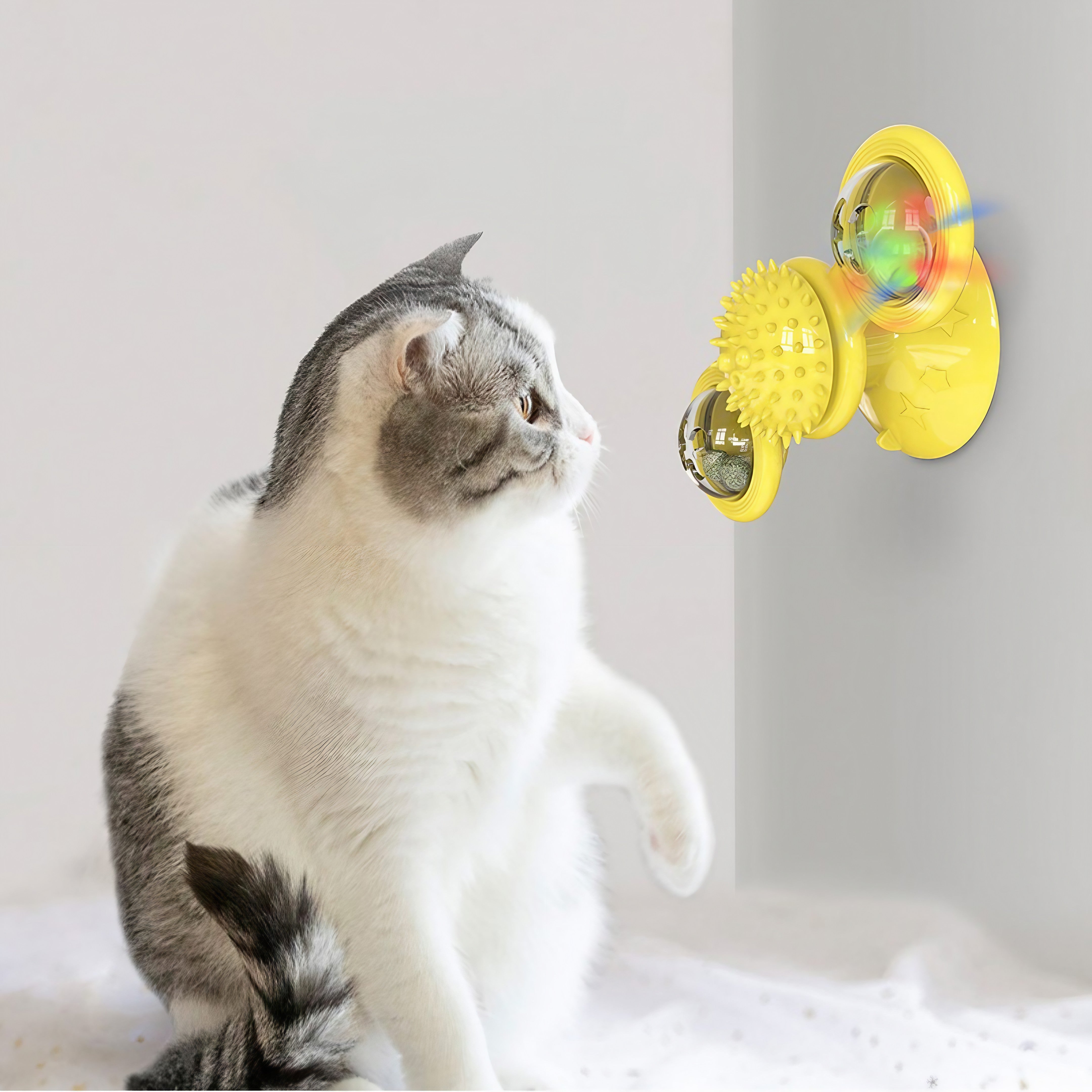 FriendlySpinnerDet ultimativer Katzenspielzeug für Spaß