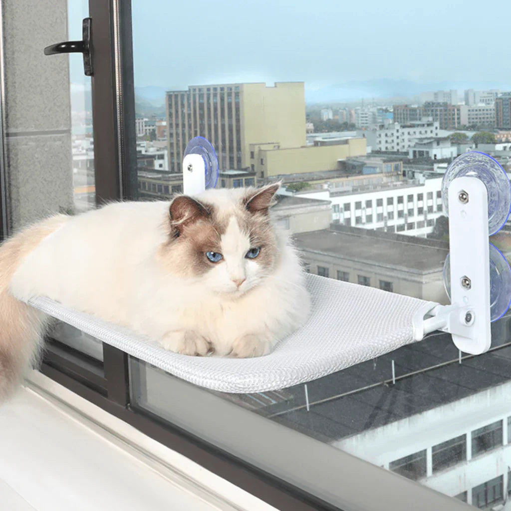 Faltbare Fensterhängematte für Katzen mit abnehmbarem Bezug und starker Unterstützung