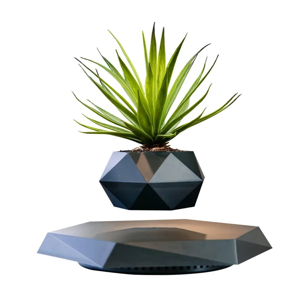GeoSpin rotierende geometrische Pflanzbox