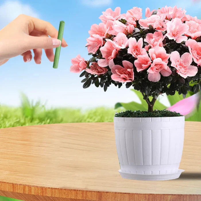 EcoBloom Nährstoffstäbchen – Langzeitdünger für einfache und nachhaltige Pflanzenpflege