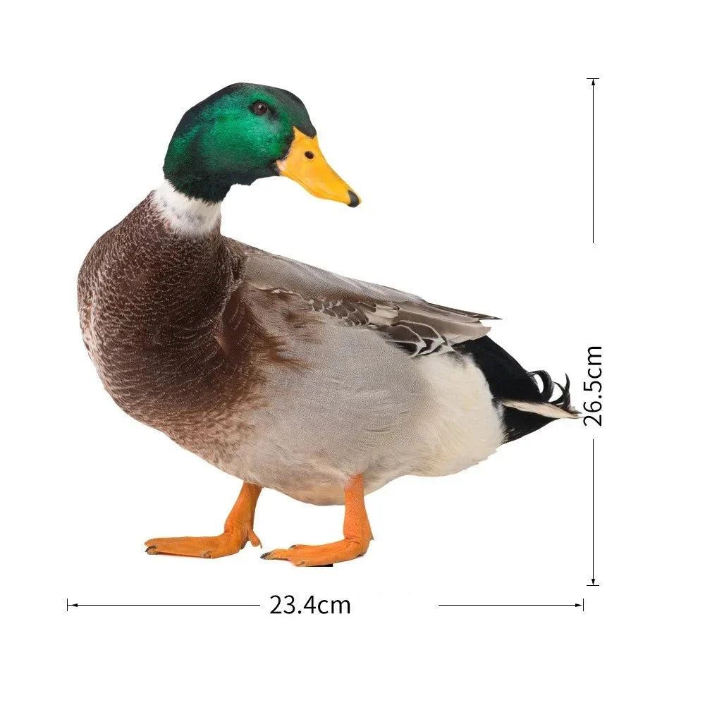 DuoDuck Realistische Doppelseitige Graufeder-Skulptur