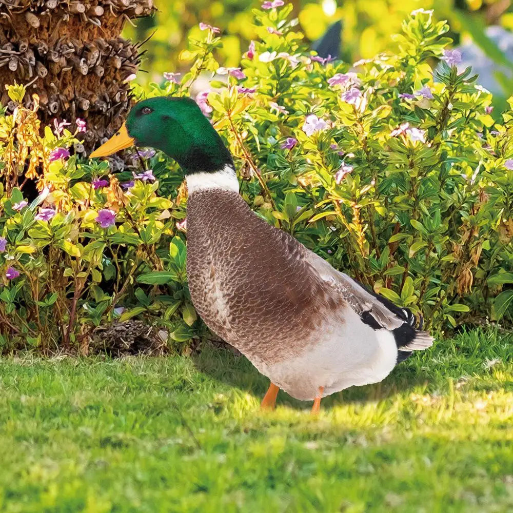 DuoDuck Realistische Doppelseitige Graufeder-Skulptur