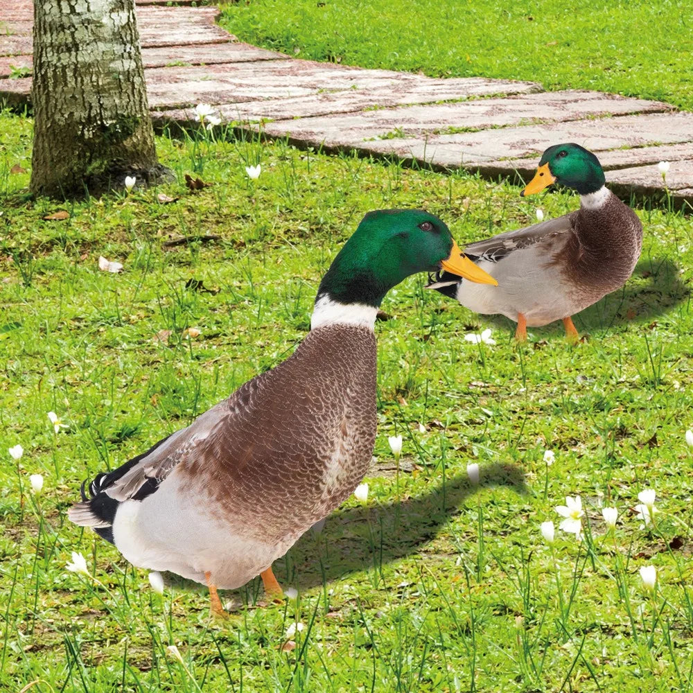 DuoDuck Realistische Doppelseitige Graufeder-Skulptur
