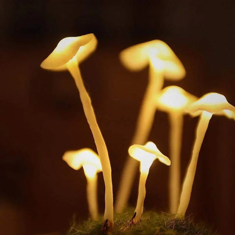 GlowShroom Ambientlampe