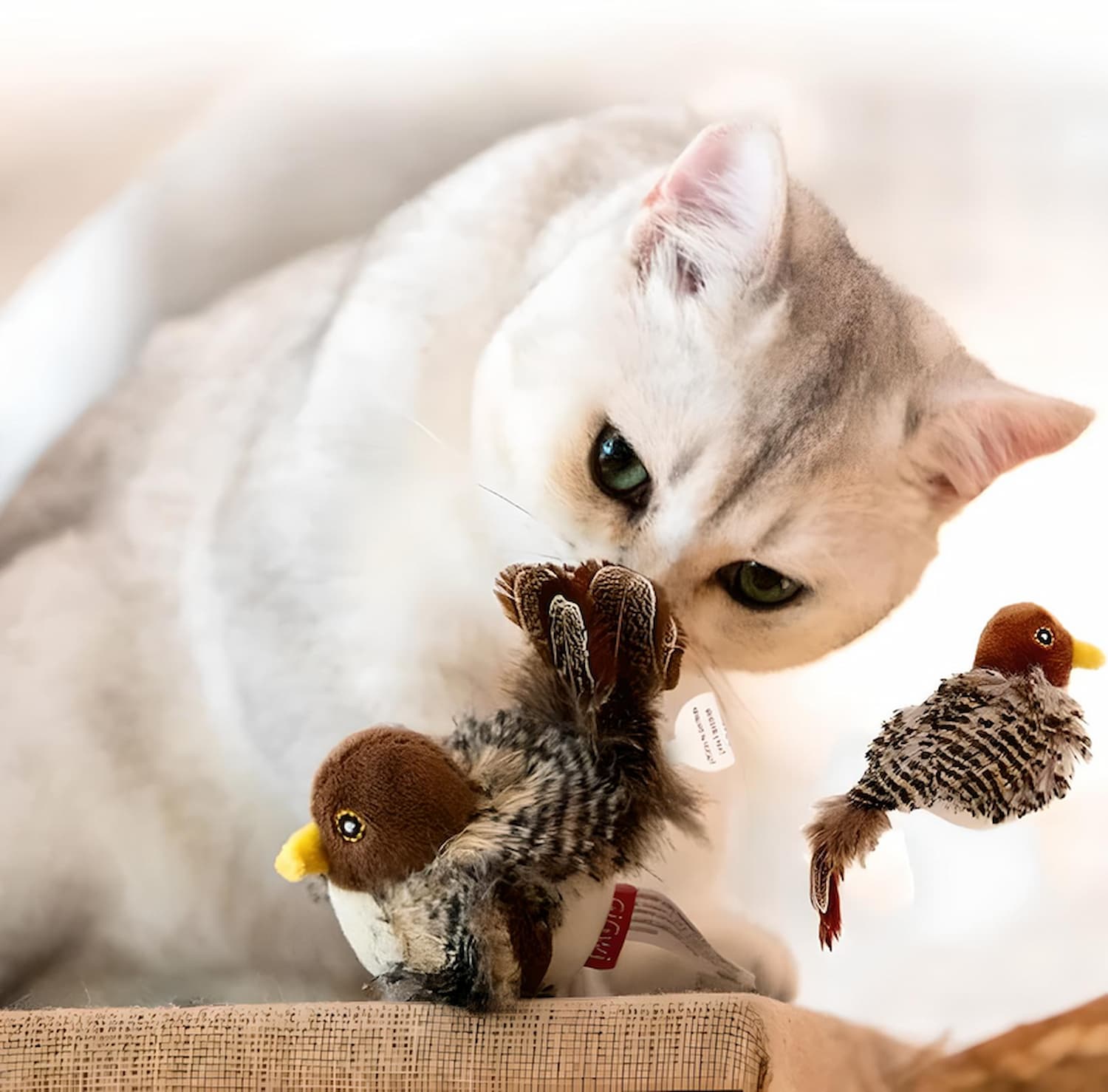 FugleVen Interaktives Katzenspielzeug mit realistischer Bewegung