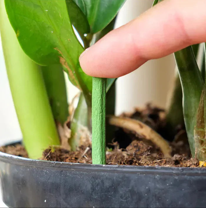 EcoBloom Nährstoffstäbchen – Langzeitdünger für einfache und nachhaltige Pflanzenpflege
