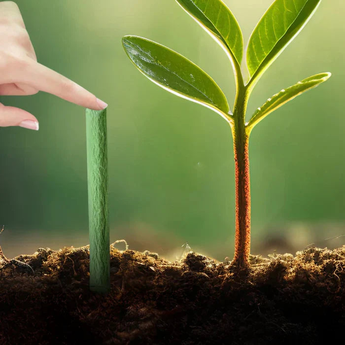 EcoBloom Nährstoffstäbchen – Langzeitdünger für einfache und nachhaltige Pflanzenpflege