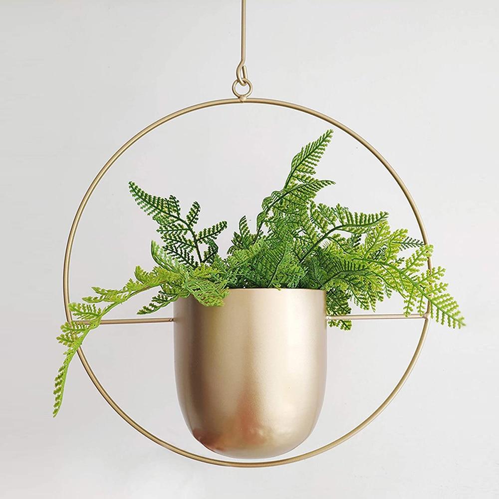 FloraFrame LED botanische Wandkunst