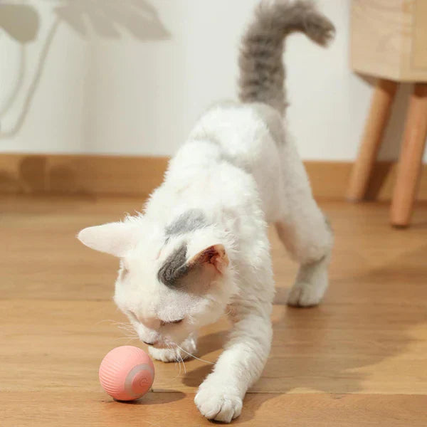 WhiskerWhirl - Interaktives rollendes Ball elektrisches Katzenspielzeug