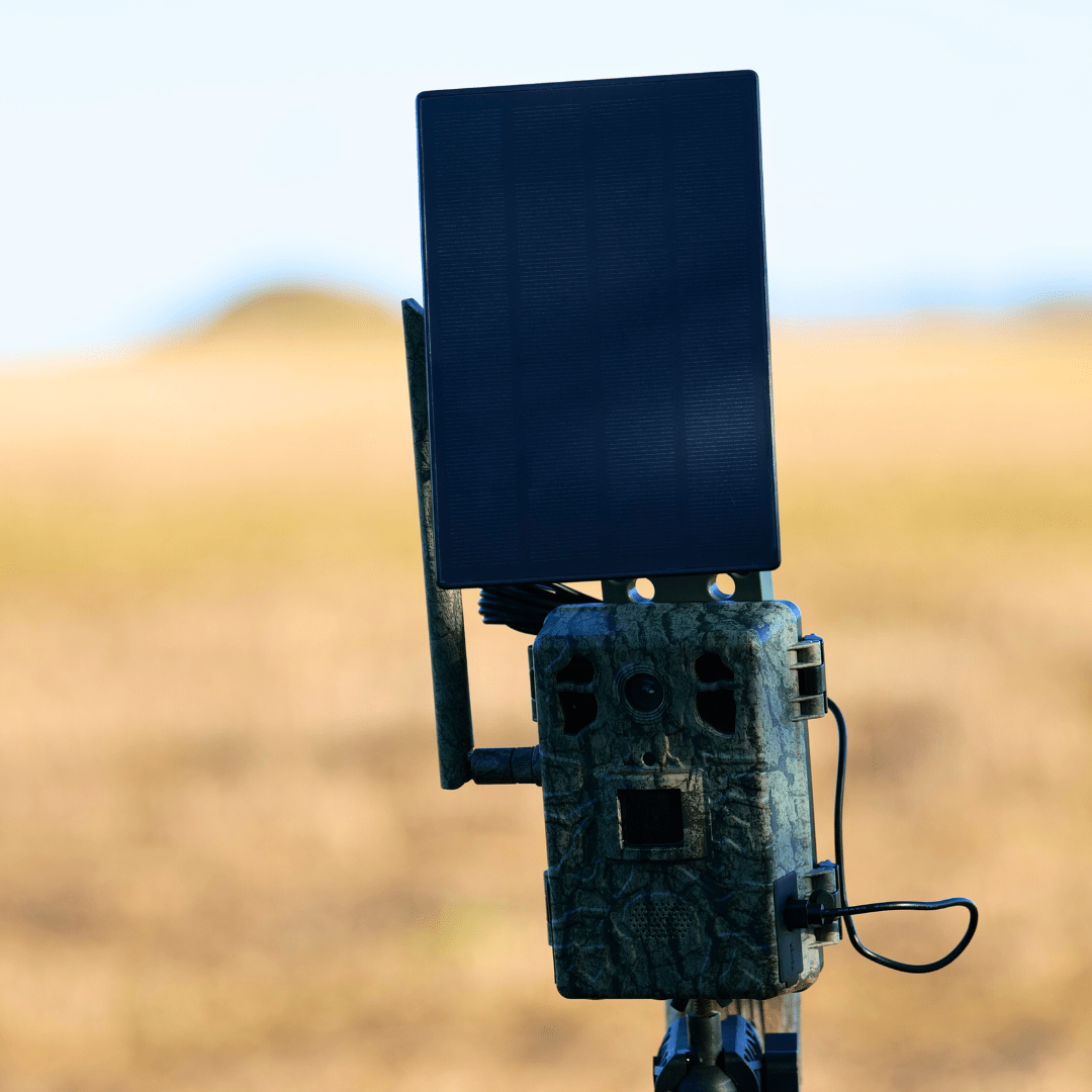 WildView - Solarbetriebenes Überwachungskamera für Wildtiere